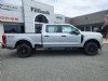 2024 Ford Super Duty F-250 XL Silver, Boscobel, WI