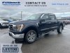 2021 Ford F-150 XLT Blue, Boscobel, WI