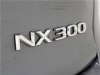 2021 Lexus NX 300 F Sport Silver, Indianapolis, IN