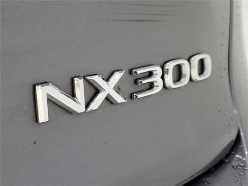 2021 Lexus NX 300 F Sport Silver, Indianapolis, IN