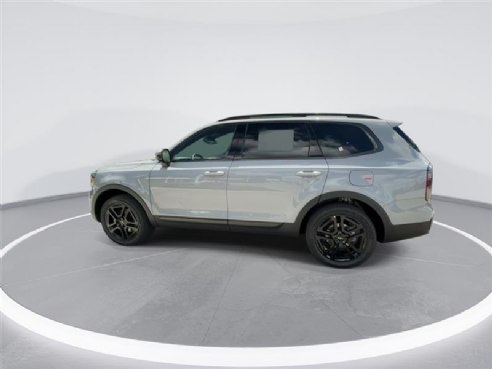 2024 Kia Telluride SX-Prestige X-Line Gray, Indianapolis, IN