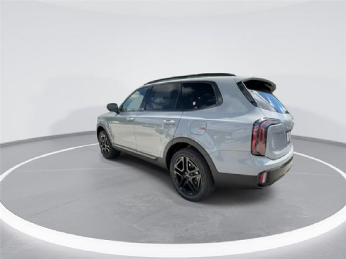 2024 Kia Telluride SX-Prestige X-Line Gray, Indianapolis, IN