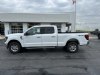 2024 Ford F-150 XLT Oxford White, Plymouth, WI