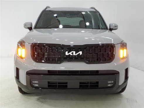 2024 Kia Telluride SX-Prestige X-Line Gray, Indianapolis, IN