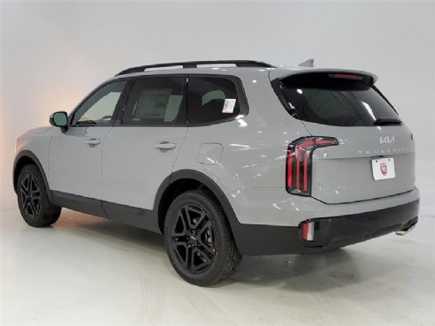 2024 Kia Telluride SX-Prestige X-Line Gray, Indianapolis, IN