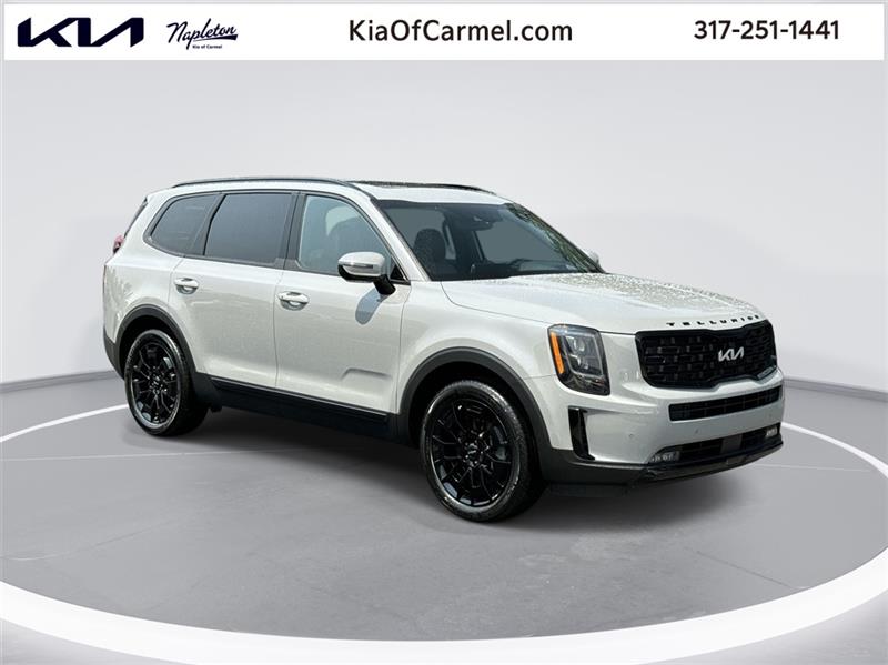 2022 Kia Telluride SX Gray, Indianapolis, IN