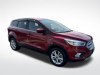 2019 Ford Escape SE Ruby Red Metallic Tinted Clearcoat, Plymouth, WI