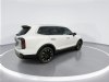 2024 Kia Telluride SX White, Indianapolis, IN