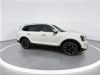 2024 Kia Telluride SX White, Indianapolis, IN