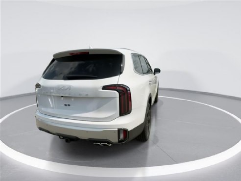 2024 Kia Telluride SX White, Indianapolis, IN