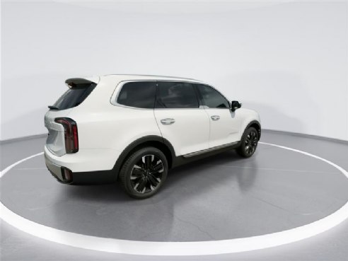 2024 Kia Telluride SX White, Indianapolis, IN