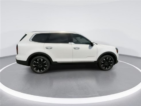 2024 Kia Telluride SX White, Indianapolis, IN