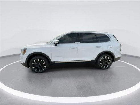 2024 Kia Telluride SX White, Indianapolis, IN