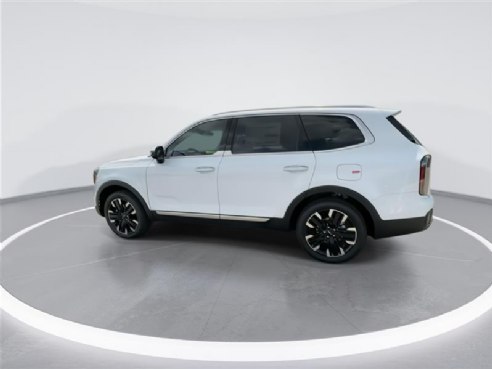 2024 Kia Telluride SX White, Indianapolis, IN