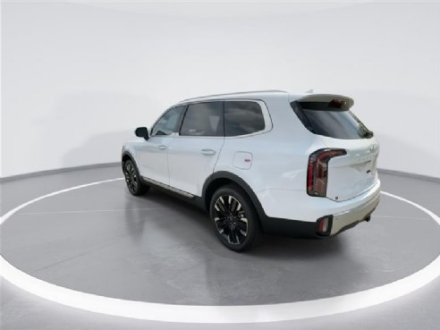 2024 Kia Telluride SX White, Indianapolis, IN