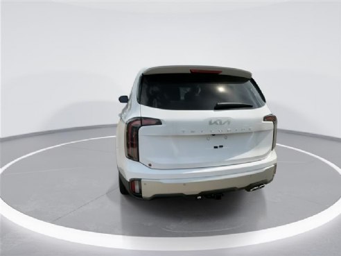 2024 Kia Telluride SX White, Indianapolis, IN