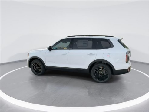 2024 Kia Telluride EX X-Line White, Indianapolis, IN