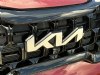 2024 Kia Telluride SX X-Line Red, Indianapolis, IN