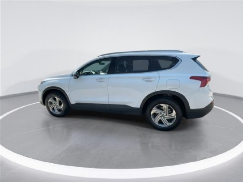 2023 Hyundai Santa Fe SEL White, Indianapolis, IN