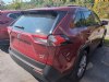 2021 Toyota RAV4 XLE Premium Ruby Flare Pearl, Saint Johnsbury, VT