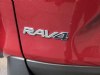 2021 Toyota RAV4 XLE Premium Ruby Flare Pearl, Saint Johnsbury, VT