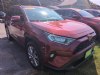 2021 Toyota RAV4 XLE Premium Ruby Flare Pearl, Saint Johnsbury, VT