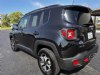 2022 Jeep Renegade Trailhawk Black, Dixon, IL