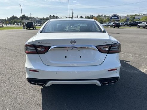 2023 Nissan Maxima SV White, Rockland, ME