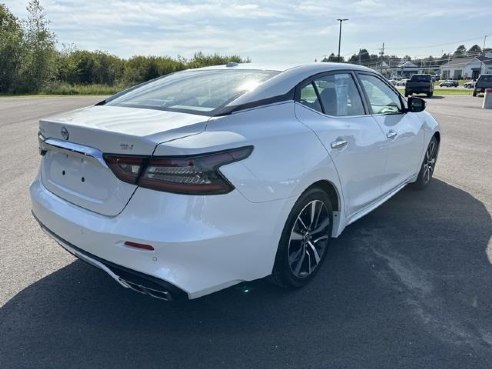 2023 Nissan Maxima SV White, Rockland, ME