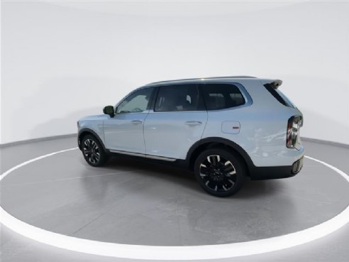 2024 Kia Telluride SX-Prestige White, Indianapolis, IN