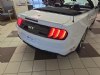 2022 Ford Mustang GT Premium Oxford White, Plymouth, WI