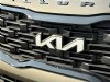 2022 Kia Telluride SX Green, Indianapolis, IN