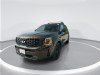 2022 Kia Telluride SX Green, Indianapolis, IN