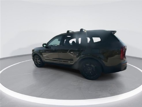 2022 Kia Telluride SX Green, Indianapolis, IN