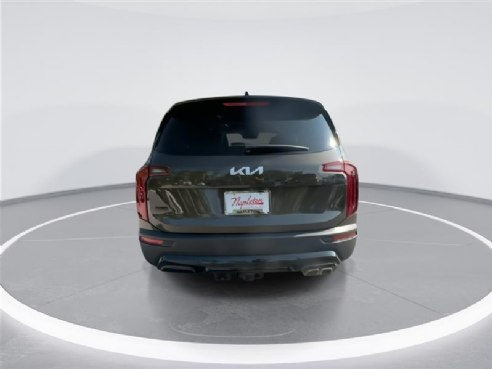 2022 Kia Telluride SX Green, Indianapolis, IN