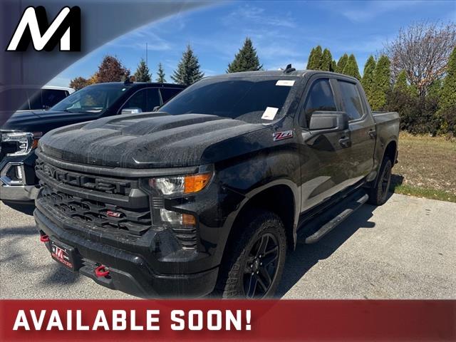 2022 Chevrolet Silverado 1500 Custom Trail Boss Black, Plymouth, WI